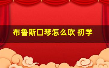 布鲁斯口琴怎么吹 初学